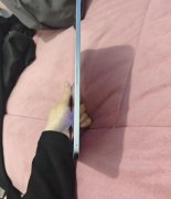 小米平板8 8+128 冰晶蓝， 送一个蓝色保护壳，箱说全，