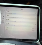 自用iPad 11寸 电池健康98%，循环106次