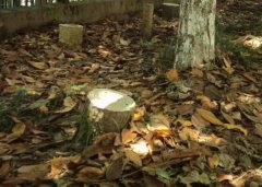 包邮急出，个人闲置复古相机ccd朋友送的